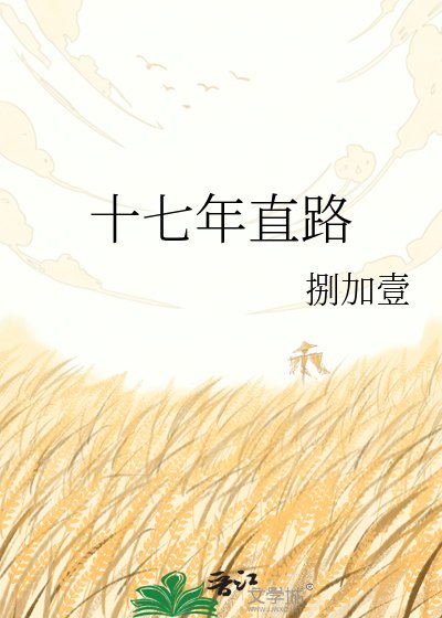 十七年直路