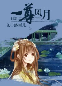 (综同人/BG)一尊风月