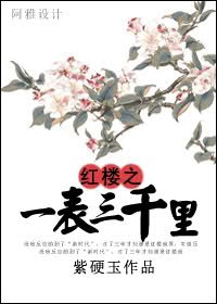 (哄楼梦同人/BG)哄楼之一表三千里