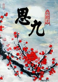 思九 (胤禛胤禟)