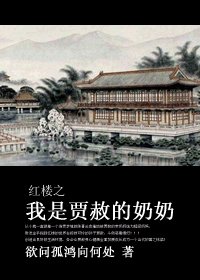 (红楼同人)红楼之我是贾赦的奶奶
