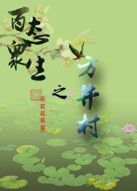 百态众生之方井村