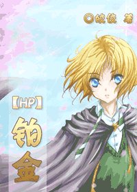 (HP同人)铂金