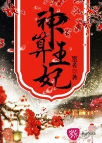 神算王妃/国算天香
