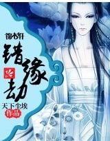 花语系列之三:错缘劫