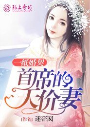 一纸婚契,首席的天价妻