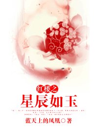 (哄楼同人/BL)哄楼之星辰如玉