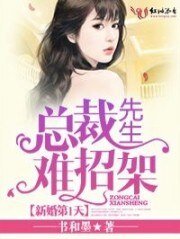 新婚第1天,总裁先生难招架