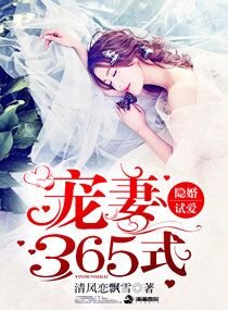 隐婚试爱:宠妻365式