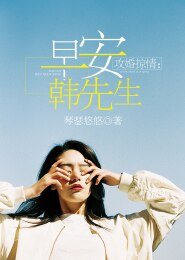 攻婚掠情:早安,韩先生